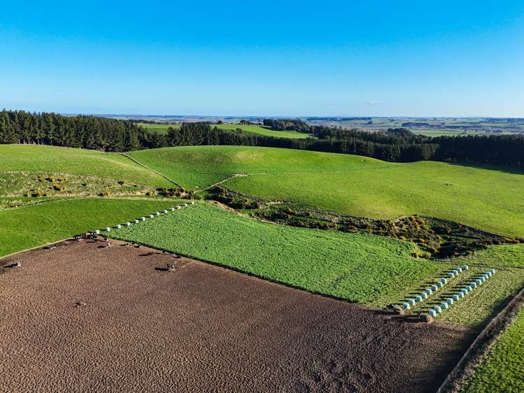 92 Carnie Road Mataura Island_10