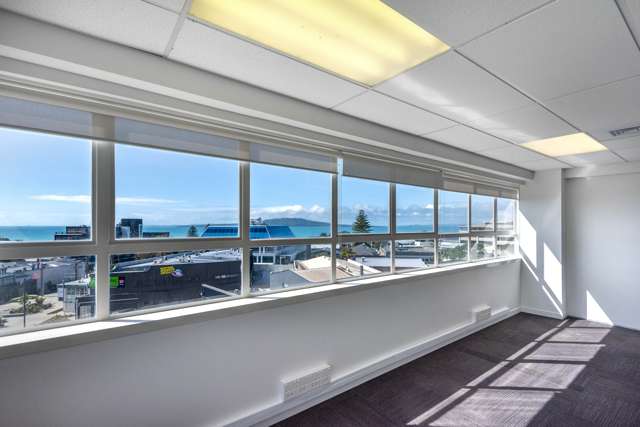 507 Lake Road Takapuna_2