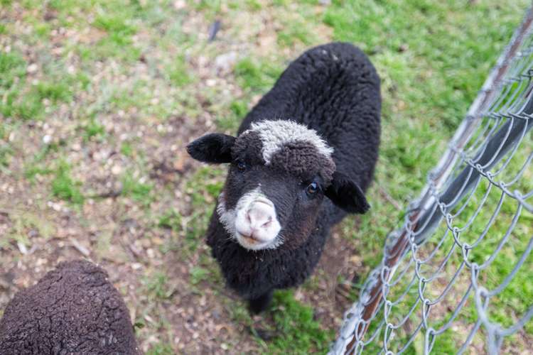 161 Mckays Road West Melton_27