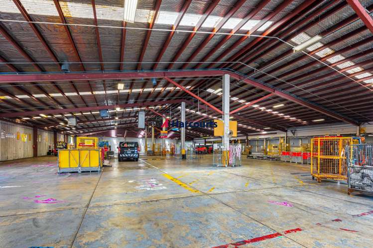 11 McDonald Street Morningside_11