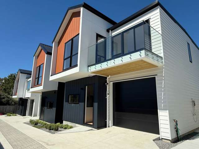 Stunning Brand-New 4-Bedroom Home