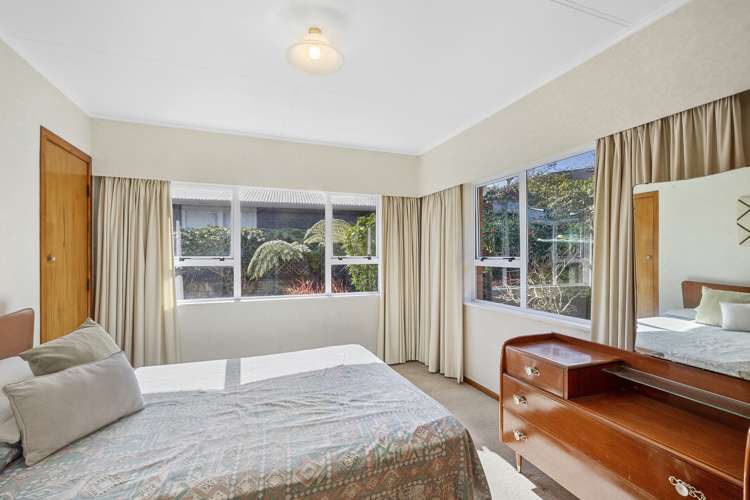 44 Essex Street Vogeltown_14