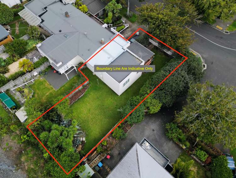 55 Seaview Terrace Mount Albert_15