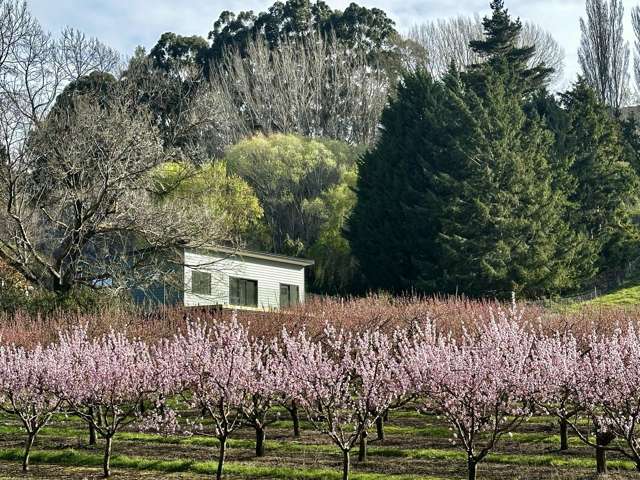 231 Scotland Street Roxburgh_1