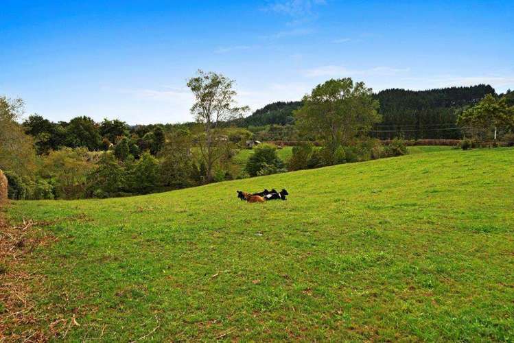 18 Skyhigh Road Hunua_10