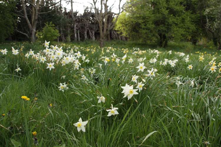85 Tokarahi-Duntroon Road Five Forks and Surrounds_21