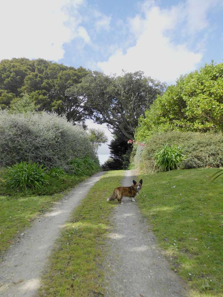 24 Totara Rise Maungaturoto_5