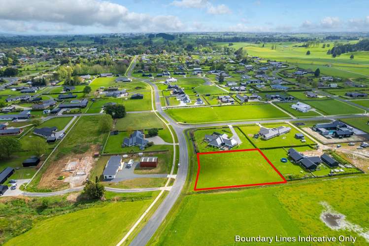 895 Collinson Street Pirongia_10