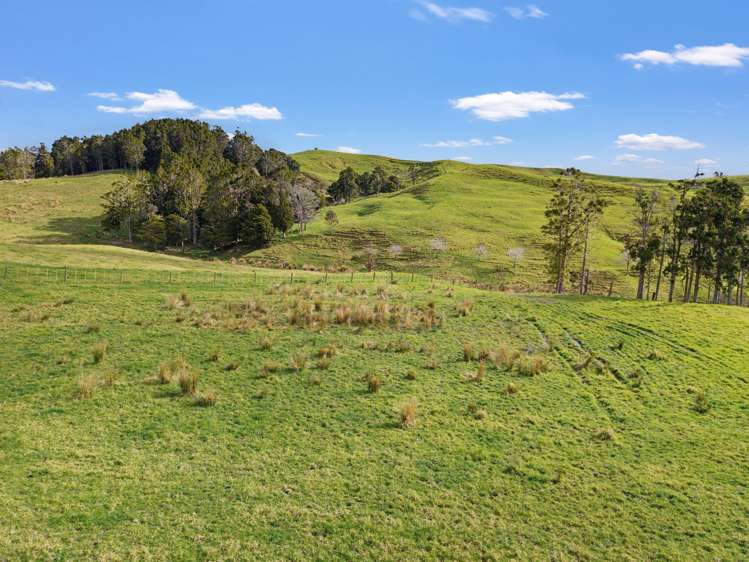 / Lot 12 Gorge Road Maungaturoto_7