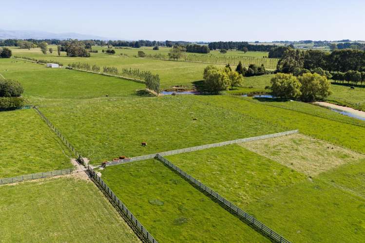 89 Ulysses Road Ashhurst_39