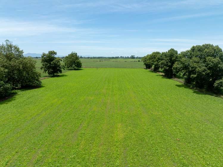 406 Manhire Road Morrinsville_22