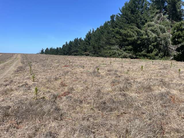 Toko Mouth Road Toko Mouth_4