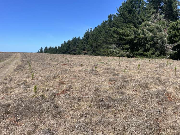 Toko Mouth Road Toko Mouth_4