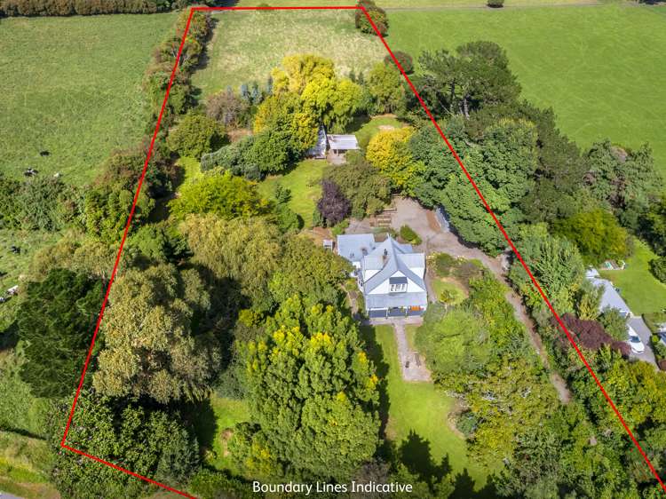 298 State Highway 53 Featherston_2