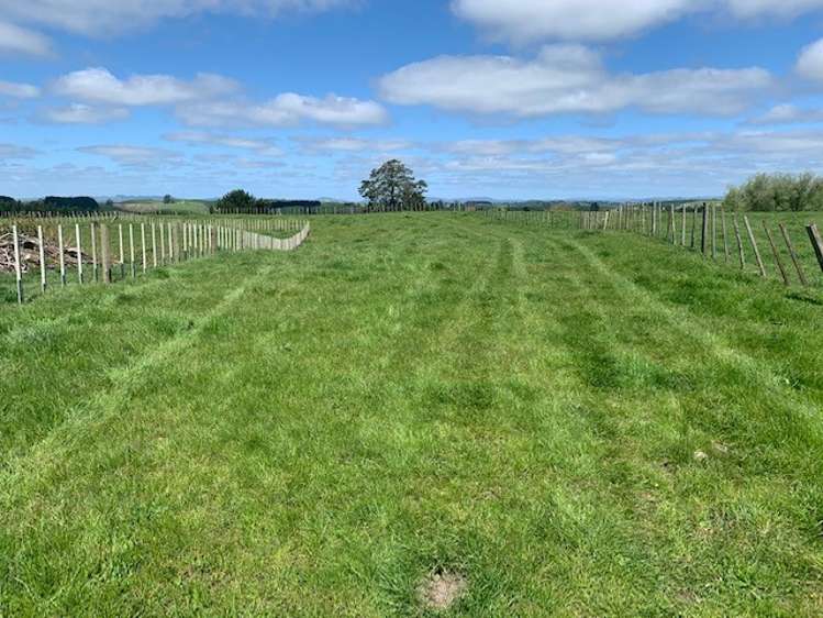 462 Otuiti Road Pukekawa_17