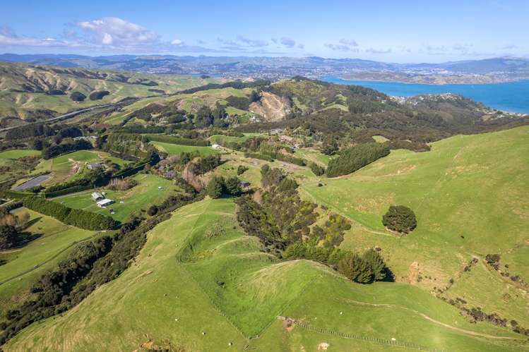 61 Coroglen Rise Pukerua Bay_33