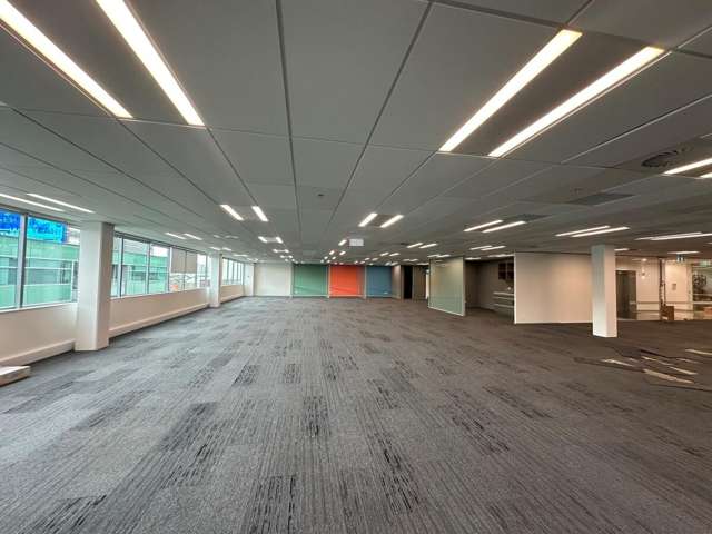 123 Carlton Gore Road Newmarket_3