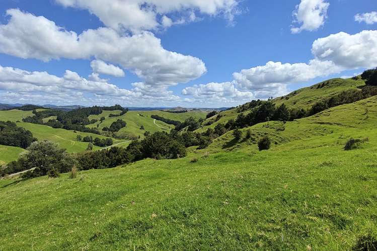 632 Marlow Road Maromaku_17