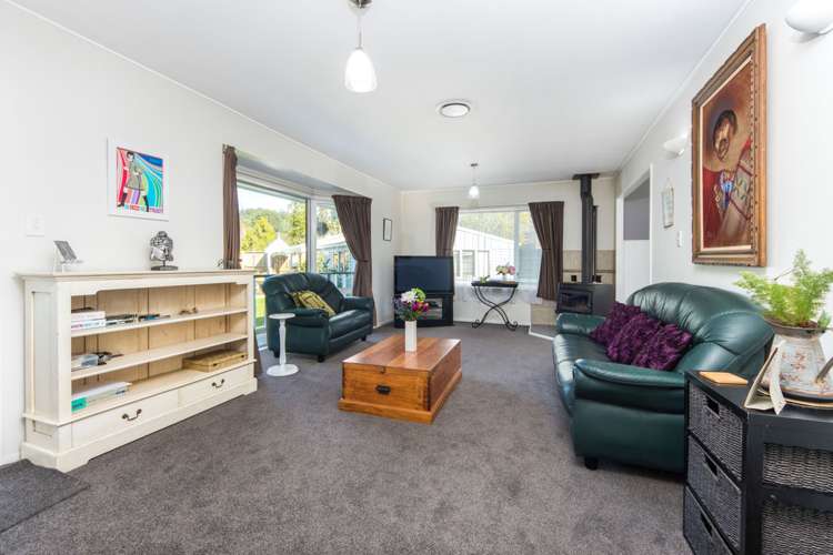 15 Pitcher Place Glen Eden_7