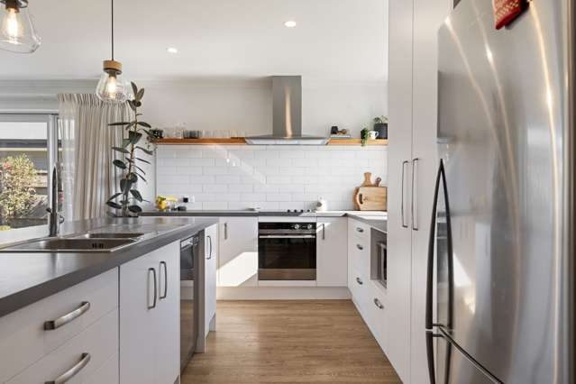 29 Monarch Drive Ashhurst_1