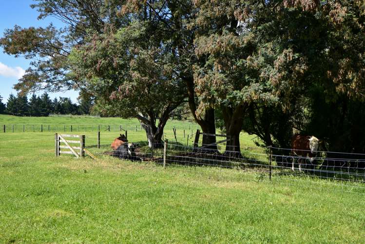 90 Millars Road Longbush_19