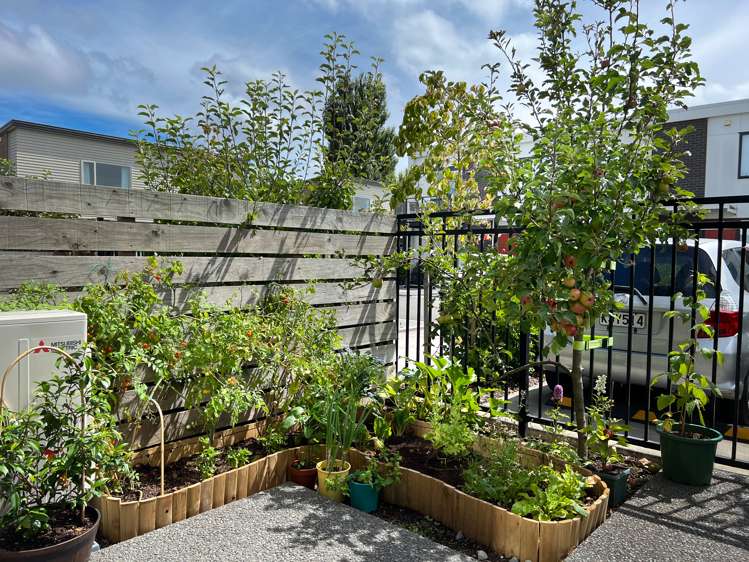 24/10 Rex Street Riccarton_19