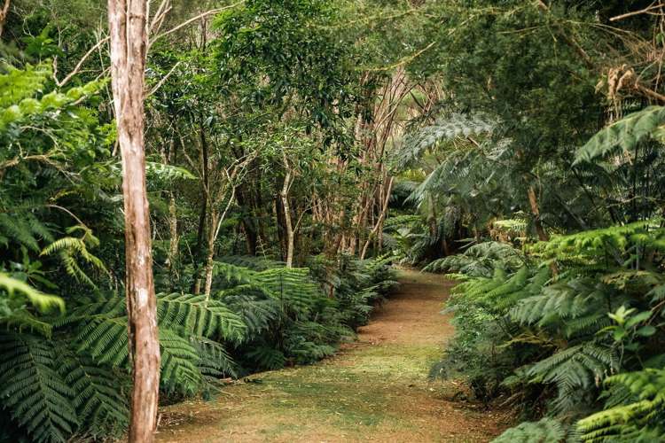 183 Rangitane Road Kerikeri_28