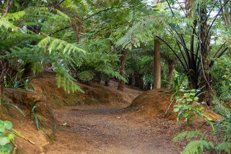 8375 State Highway 2 Waikino_20