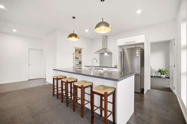 25 Chris Drive Rolleston_4