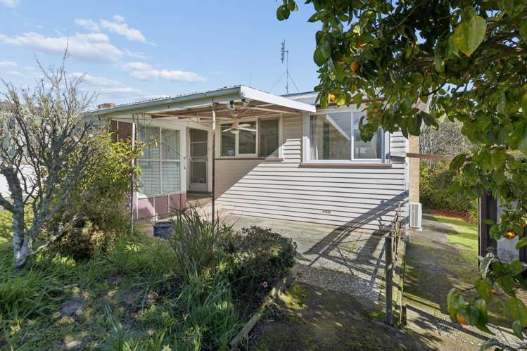 19 Eccles Avenue Te Kauwhata_52