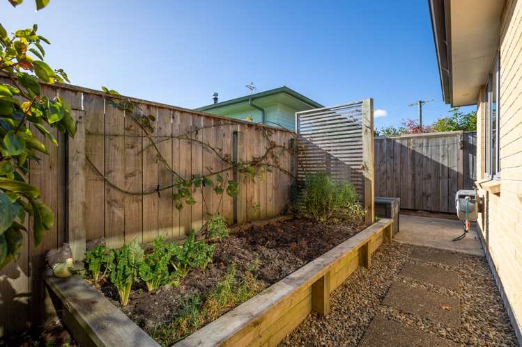 19b Andrew Street Stoke_18