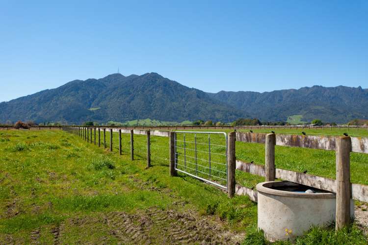 26 Waihekau Road Hauraki Surrounds_15