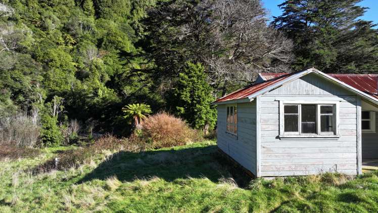 7957 State Highway 2 Opotiki Surrounds_4