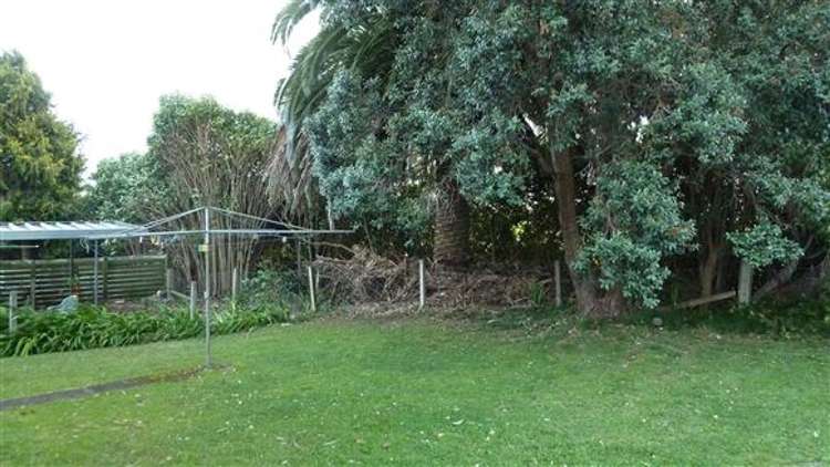 105 Herewaka Street Thames_11