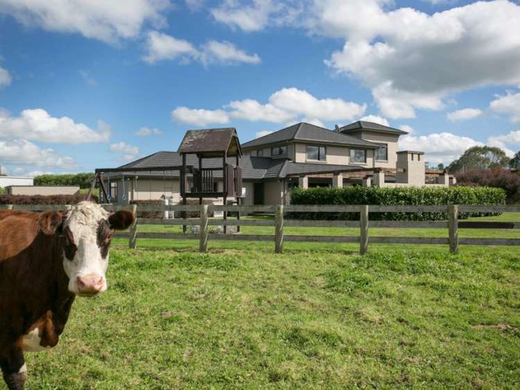 139 Norrish Road Ohaupo_15