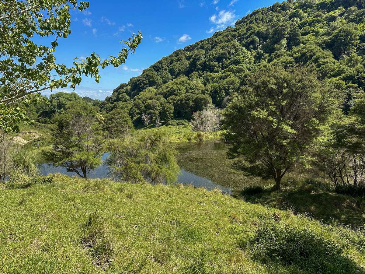 Matokitoki Valley Road_5