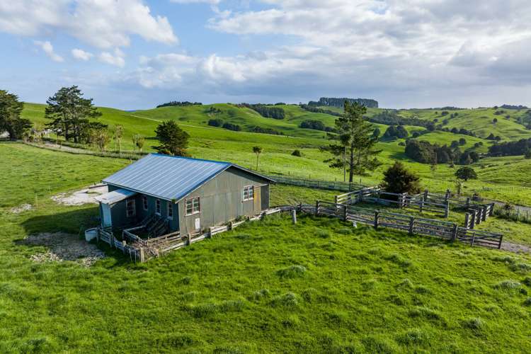 52 Gillon Road Matakohe_21