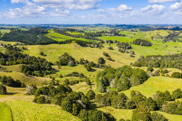 131 Taipuha Road Waiotira_6