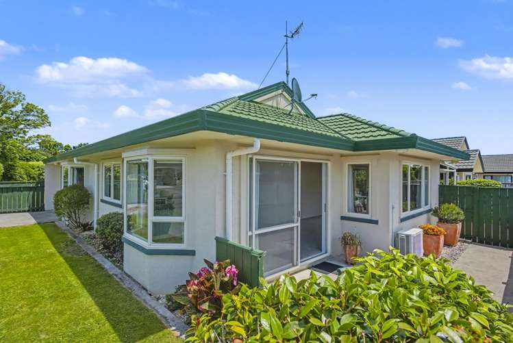 4 Clark Street Levin_14