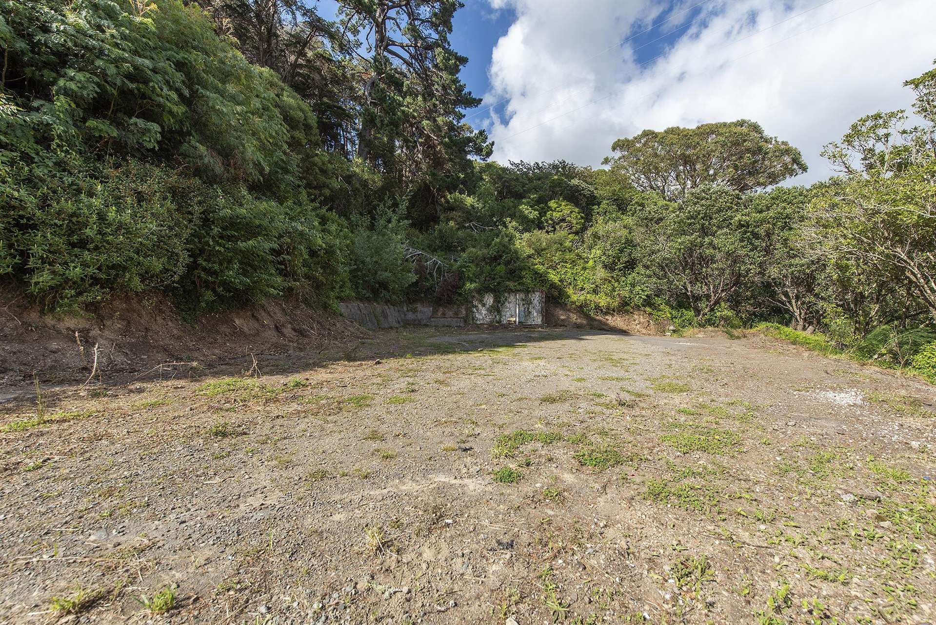 1C Holloway Road Aro Valley_0