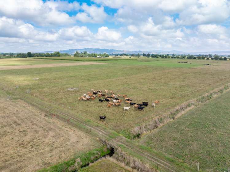 3797 State Highway 27 Morrinsville_11