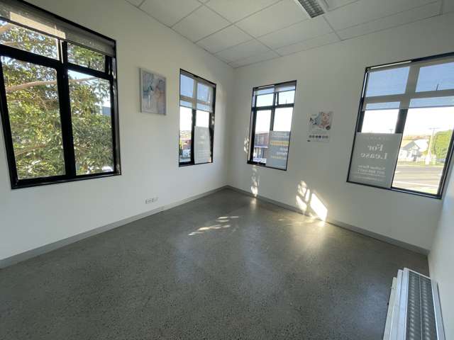 483 Richmond Road Grey Lynn_2