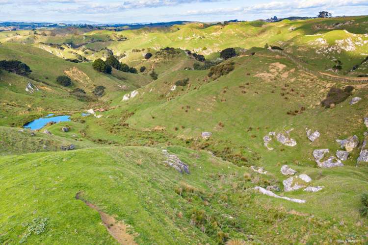 467 Ponganui Road Onewhero_2