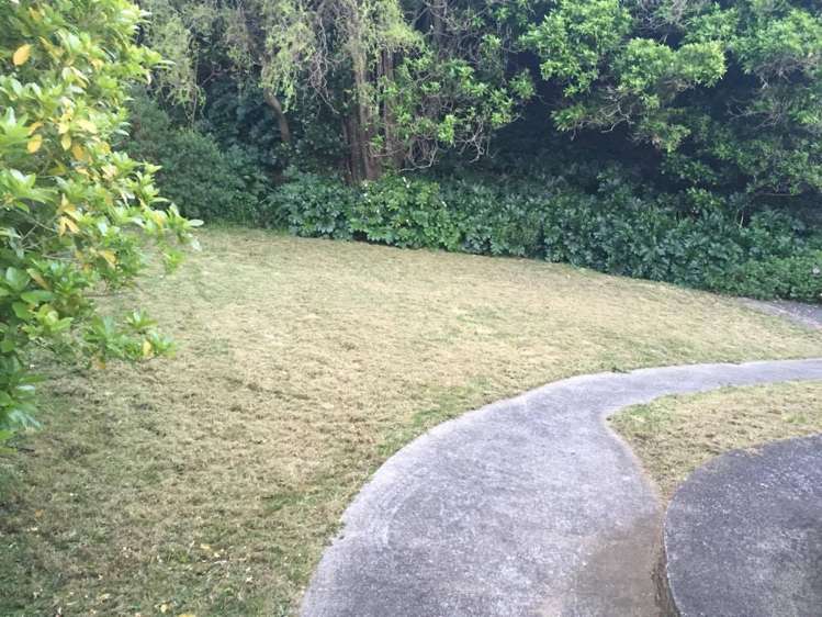 1/13B Upper Bourke Street Kilbirnie_13