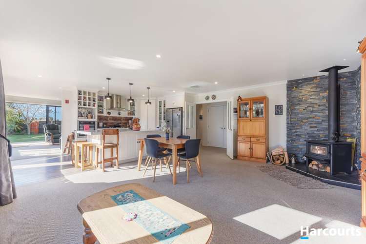 8 Kakapo Lane Motueka_4