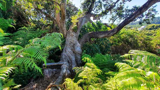 12-14 Wilson Avenue Kawau Island_2