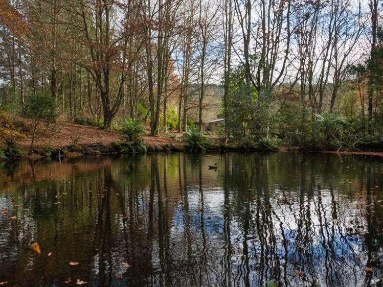 763 Paradise Valley Road Ngongotaha Valley_8