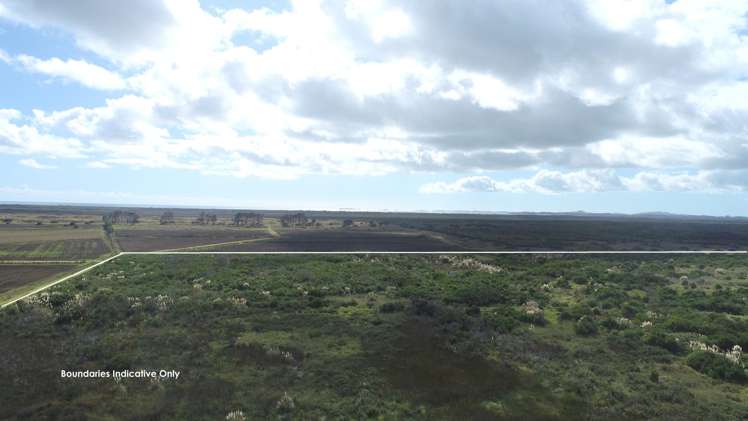 State Highway 1 Waiharara_1
