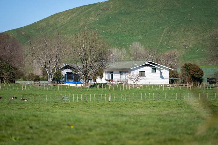 1038 Te Kopia Road Waikite Valley_24