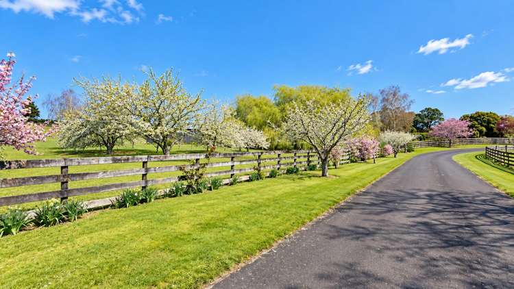 17 Orchard Road Te Kauwhata_45